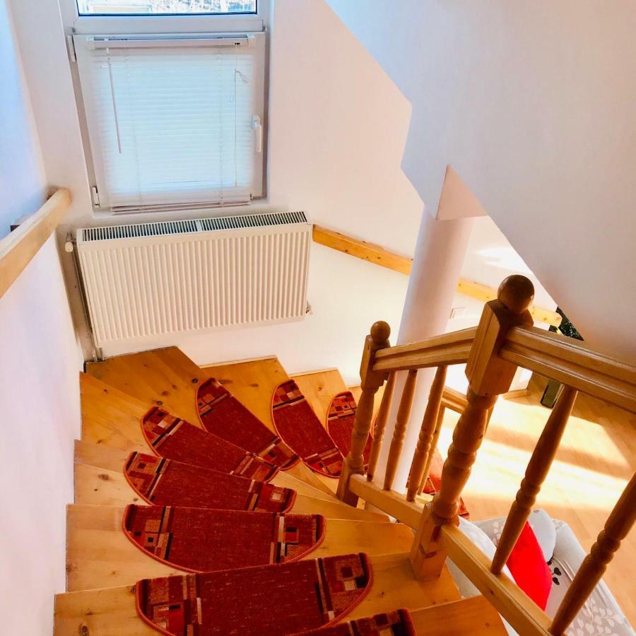 Vila Ekooos Braşov Eksteriør billede