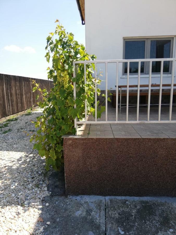Vila Ekooos Braşov Eksteriør billede